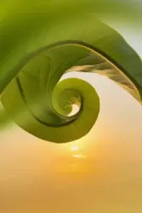 j'unis l'hypnose et le reiki